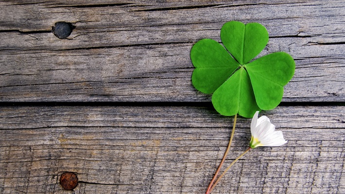 Mezinárodní den štěstí: Den, kdy má štěstí zelenou