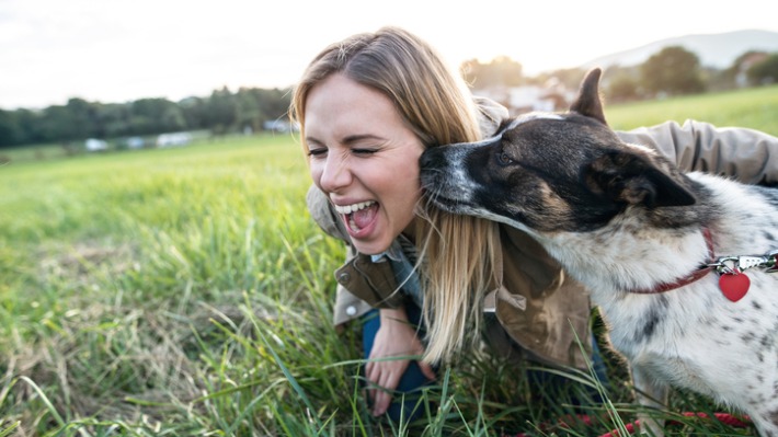 Chcete-li být zdraví, pořiďte si psa, říkají výzkumníci