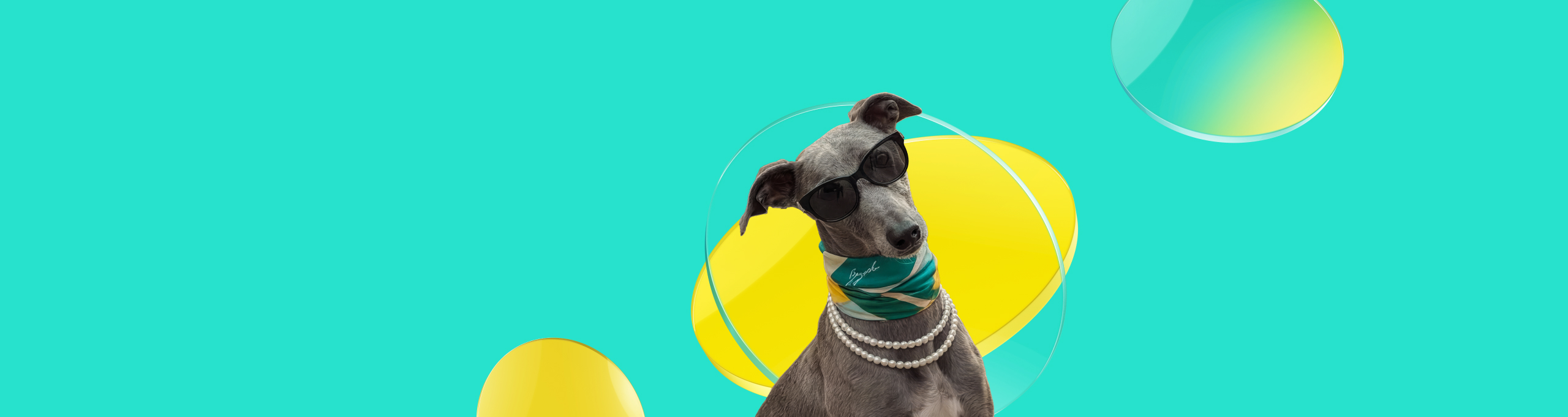 

Milionov&yacute; t&yacute;den