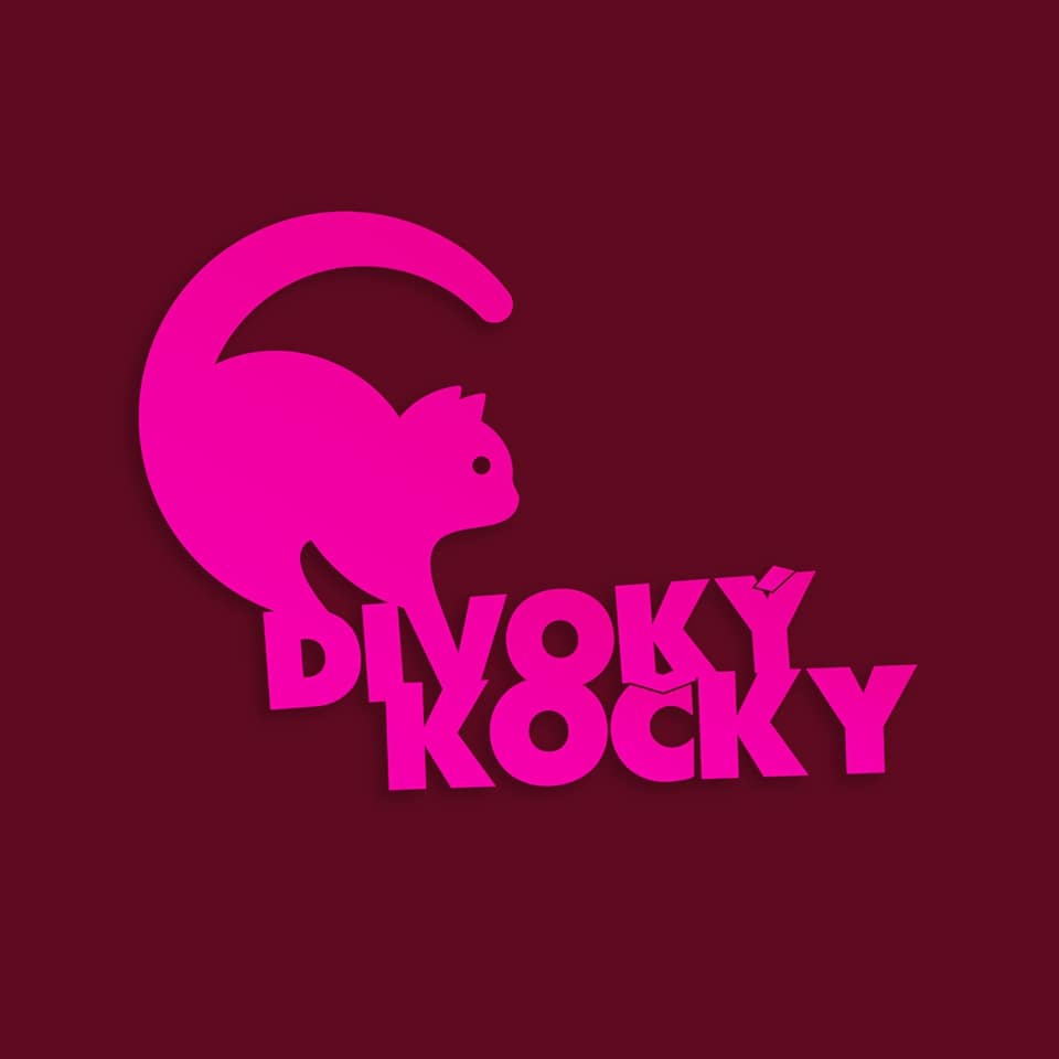 Naše streamerky Divoký Kočky už vybraly na charitu přes 400 000 Kč! - obrázek