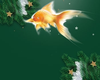 Zlatá rybička - obrázek