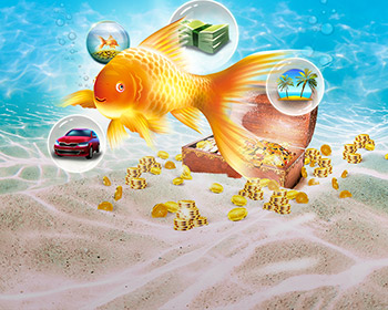Maxi Zlatá rybka - obrázek