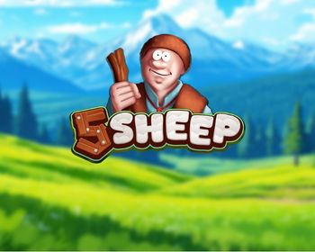 5 Sheep - obrázek