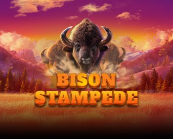 Bison Stampede - obrázek