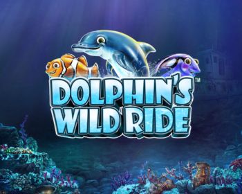 Dolphin’s Wild Ride - obrázek