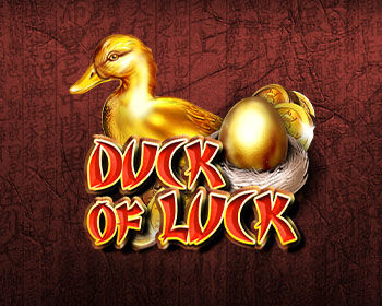 Duck of Luck - obrázek