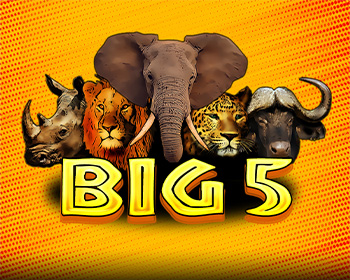 Big 5 - obrázek