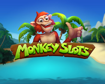 Monkey Slots - obrázek