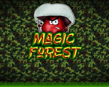 Magic Forest - obrázek