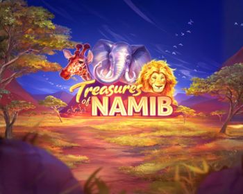 Treasures of Namib - obrázek