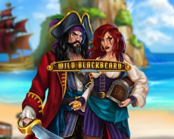 Wild Blackbeard - obrázek