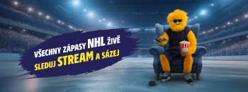 Stream NHL - obrázek