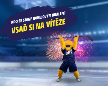 Finale MS  - obrázek