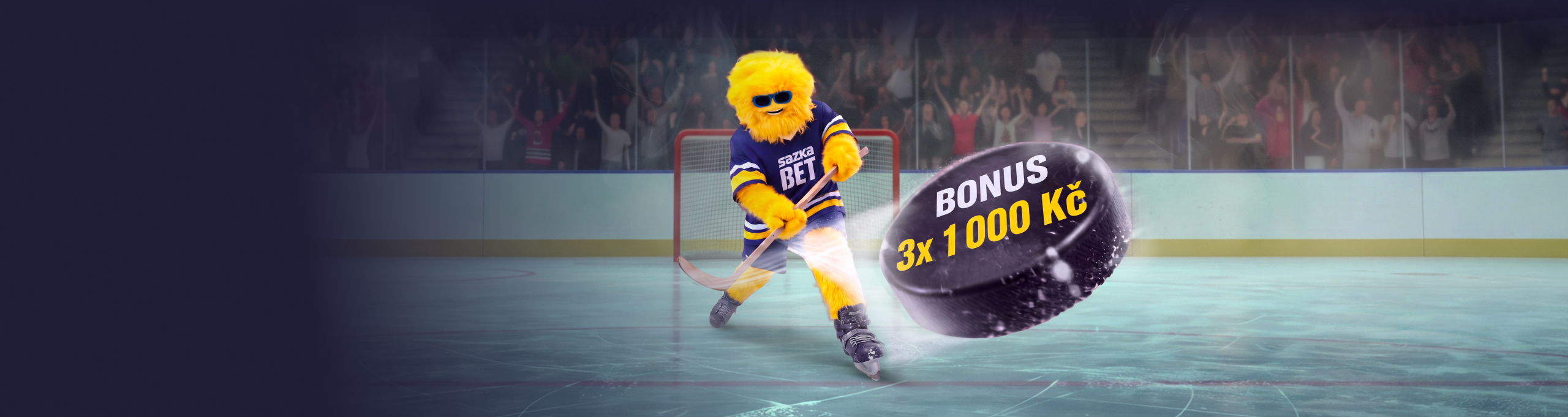 Hokejov&yacute; bonus @3x 1 000 Kč@